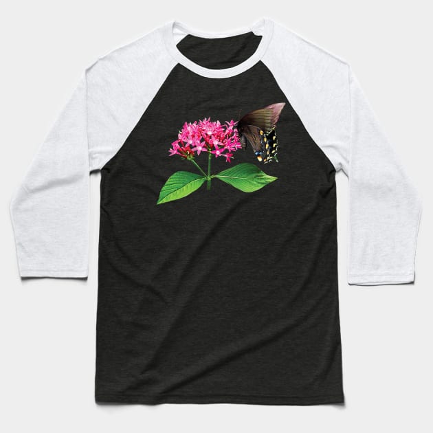 Black Swallowtail on Pink Lantana Baseball T-Shirt by SusanSavad